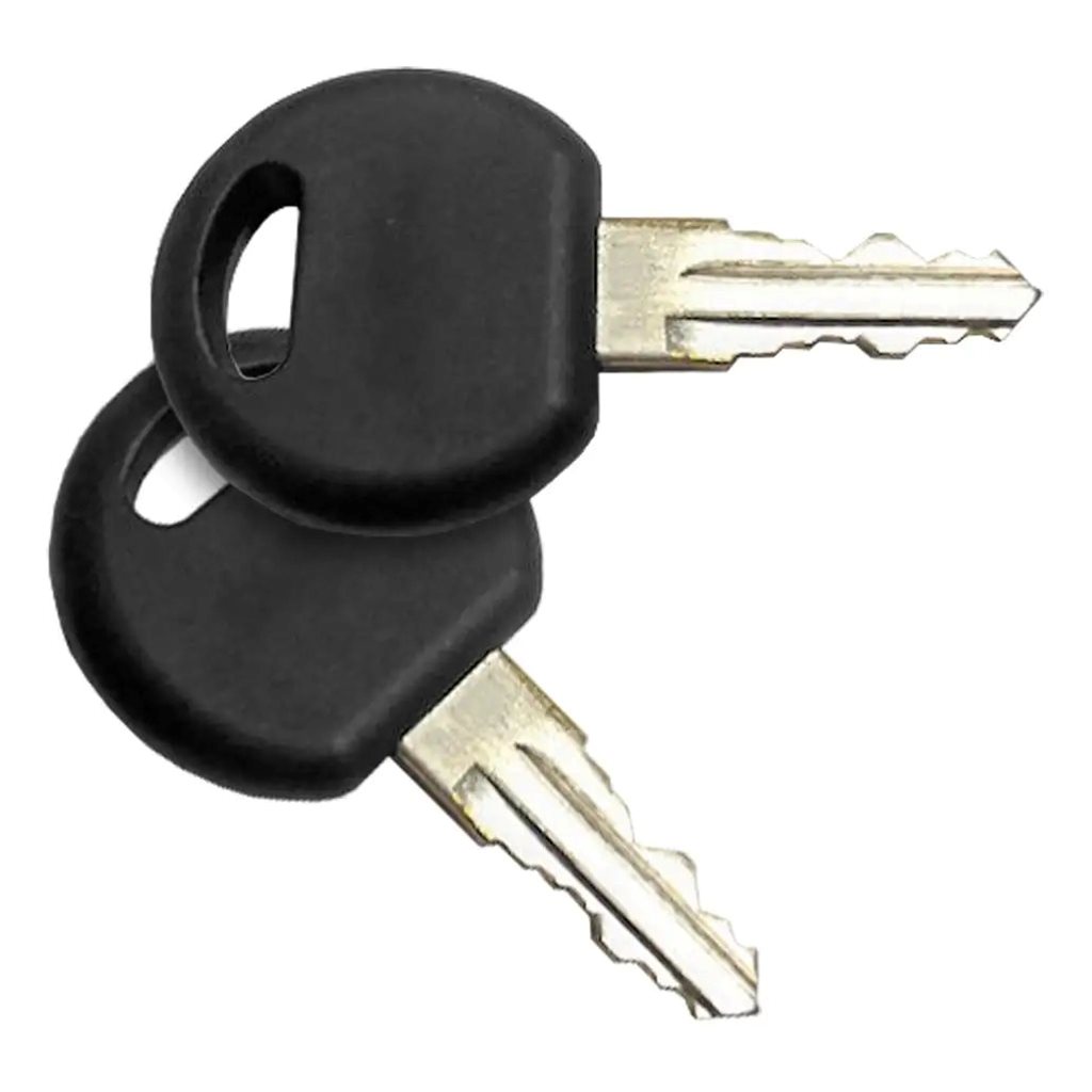 Curt Replacement Keys for 18088 Aluminum Bike Rack (203 Lock Cylinder) - 19266-05