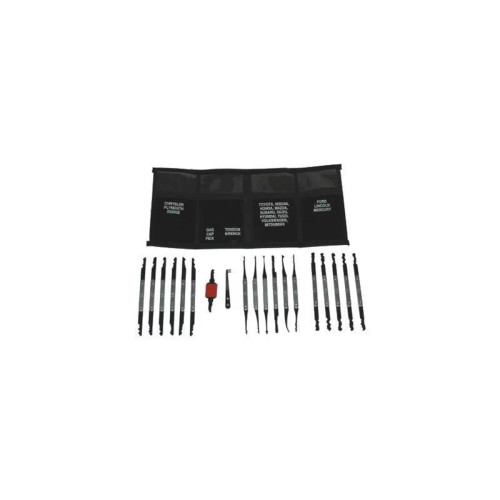 LOCK PICK SET 19PC FORD-CHRY-FOREIG LTI340