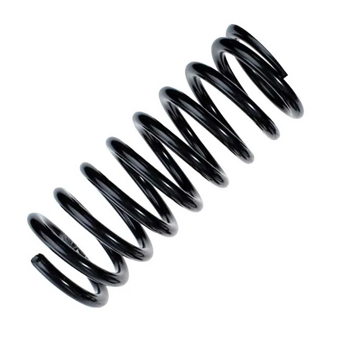OE Replacement spring R10012 rear for VW Golf IV, Golf IV Van, New Beetle