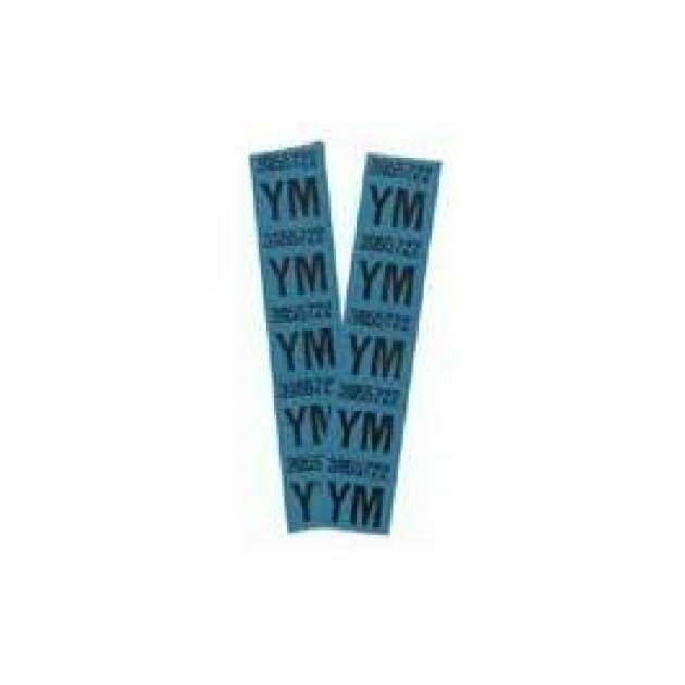 Camaro Coil Spring Tape Decals, Code YM, Z28 With Rally Sport (RS) Package, 1969