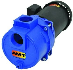 AMT Pumps316A-95Self-Priming Electric Trash Pump