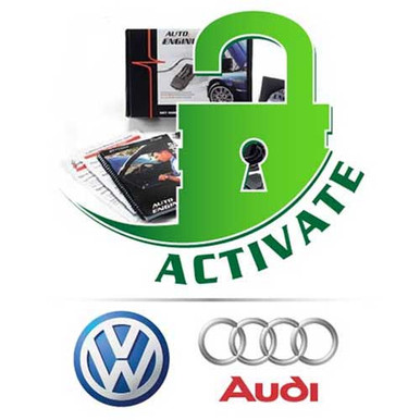 AutoEnginuity Enhanced Interface for Audi and VW (EI16)