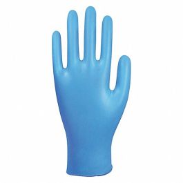 Ziggy's Nitrile Powder Latex Free Gloves 200pk