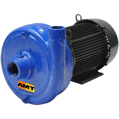 AMT Pumps4201-95Straight Centrifugal Pump, Cast Iron