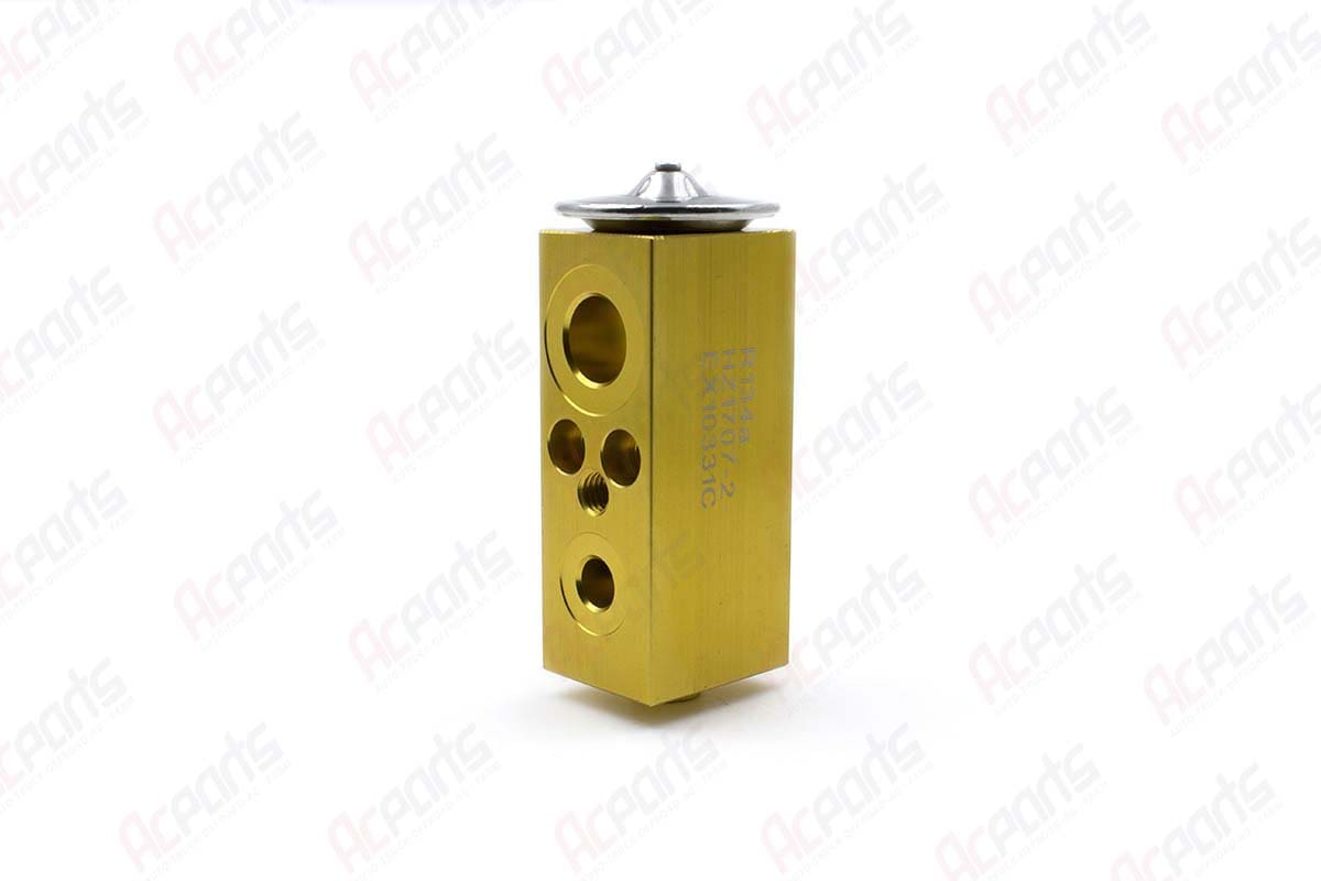 Block-Type Expansion Valve ABPN83308231 Gold – Freightliner Century