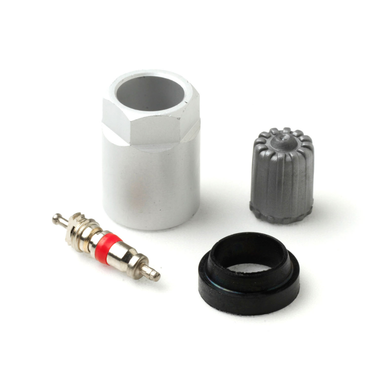 AME TPM20107AK Parts Kit for GM Box of 10