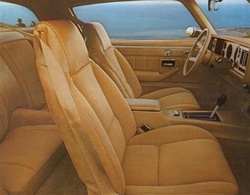 1979 Camaro or Berlinetta Seat Covers Set, FRONT and REAR with Deluxe Interior, Vinyl with Vinyl Inserts