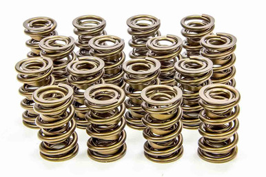 Isky 1.625 Valve Springs 9945RAD