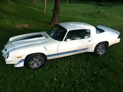 1980 - 1981 Camaro Z28 Decal Stripe Set Includes Hood Decal, Choose Color