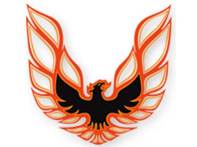 Trans Am Hood Bird and Name Kit, Black / Light Gold / Yellow-Orange / Black