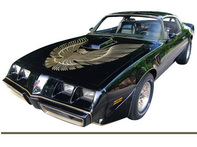 Trans Am Hood Bird and Molded Strip Kit, Brown (For Gold Cars), Special Edition