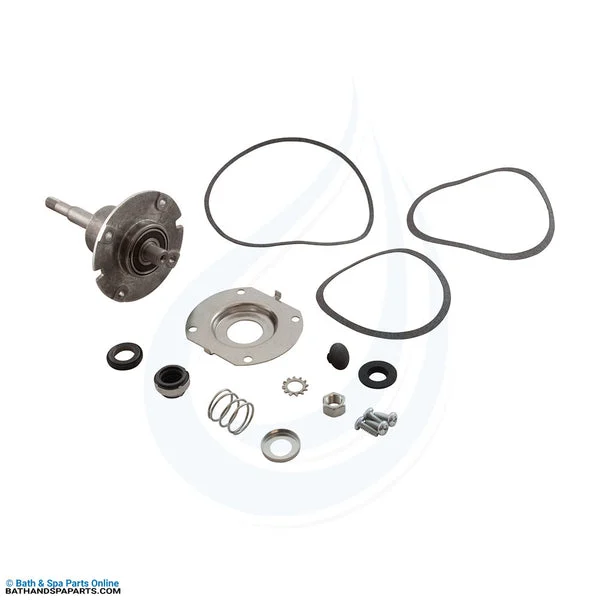 Lochinvar Pump Bearing Kit (100277757)