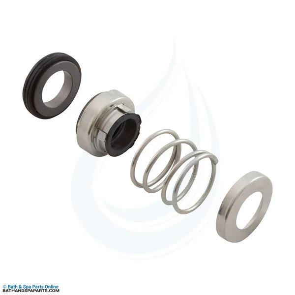 Lochinvar Volute Gasket Kit (100327114)