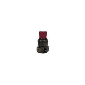 RTi MR-1 HVLP Mini Regulator with 1/4 in Inlet/Outlet, 200 psi rating, Part Number MR1