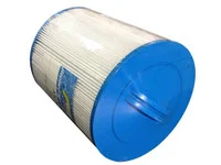 Waterway 45 SqFt Spa Filter AK-9019 FC-0359 6CH-940 PWW50-P3